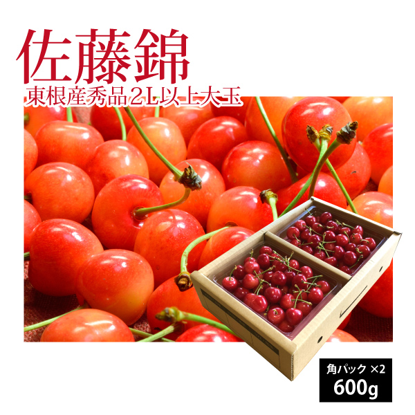 【2025年先行予約】【山形県東根産 秀品】さくらんぼ 佐藤錦 2L以上大玉 バラ詰め 600ｇ 送料無料 産地直送 クール便 ご注文順に6月中旬～6月下旬順次発送 地理的表示認定第30号