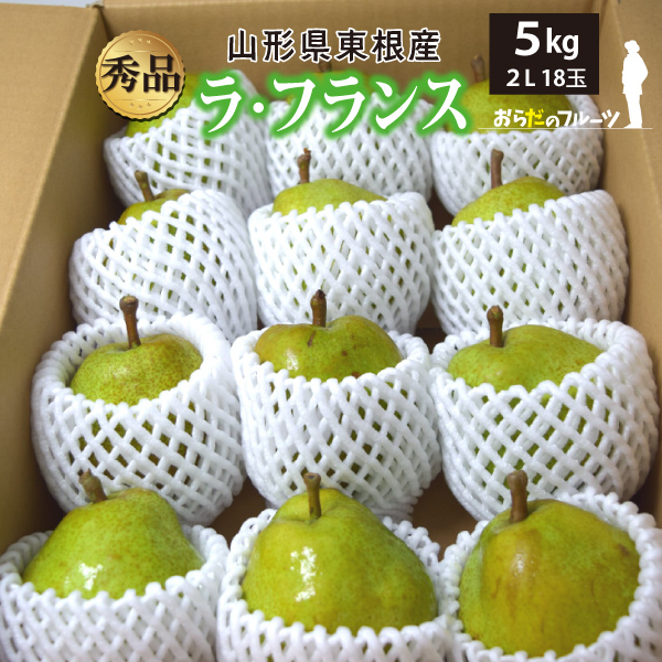 【2023年先行予約】【山形県東根産】ラ・フランス　秀品　５ｋｇ　2Lサイズ　18玉　産地直送　送料無料！（沖縄・離島・一部地域を除く)10月下旬～順次発送