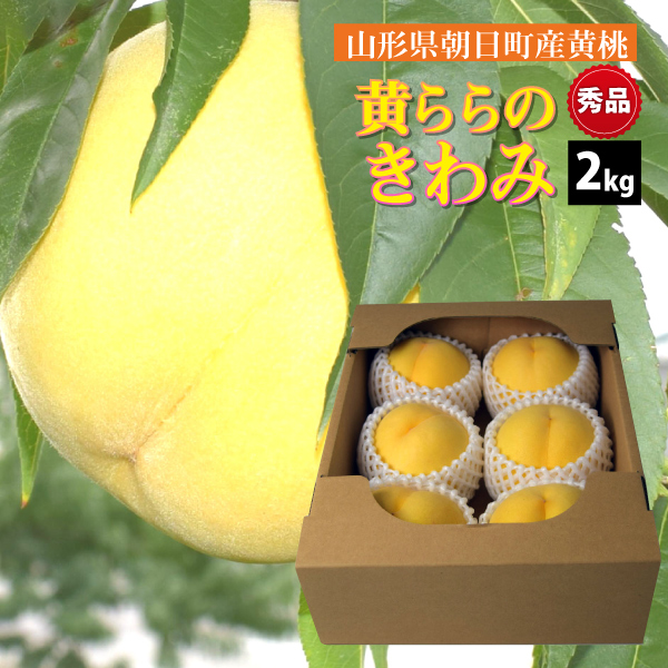 【9月中旬～順次発送】黄ららのきわみ 山形県 朝日町産 秀品 2kg 送料無料(沖縄・離島・一部地域を除く)