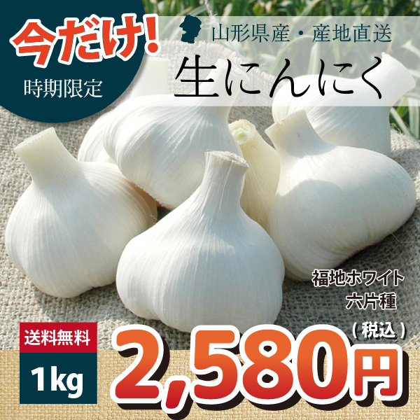 【2024年先行予約】【山形県産】 幻の生にんにく 1kg サイズM以上 土付き 産地直送 送料無料！（沖縄・離島・一部地域を除く）