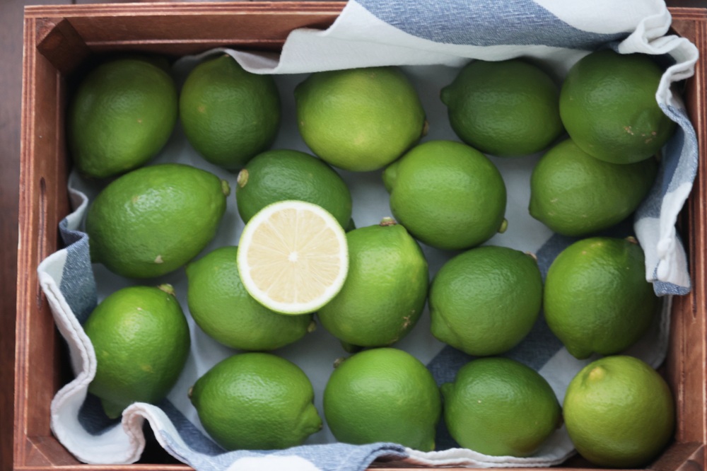 【 瀬戸田特別栽培ハウスレモンA品S～Mサイズ２kg 】 (ワックス・防カビ・防腐剤不使用。無化学肥料) 】) 他商品同梱不可