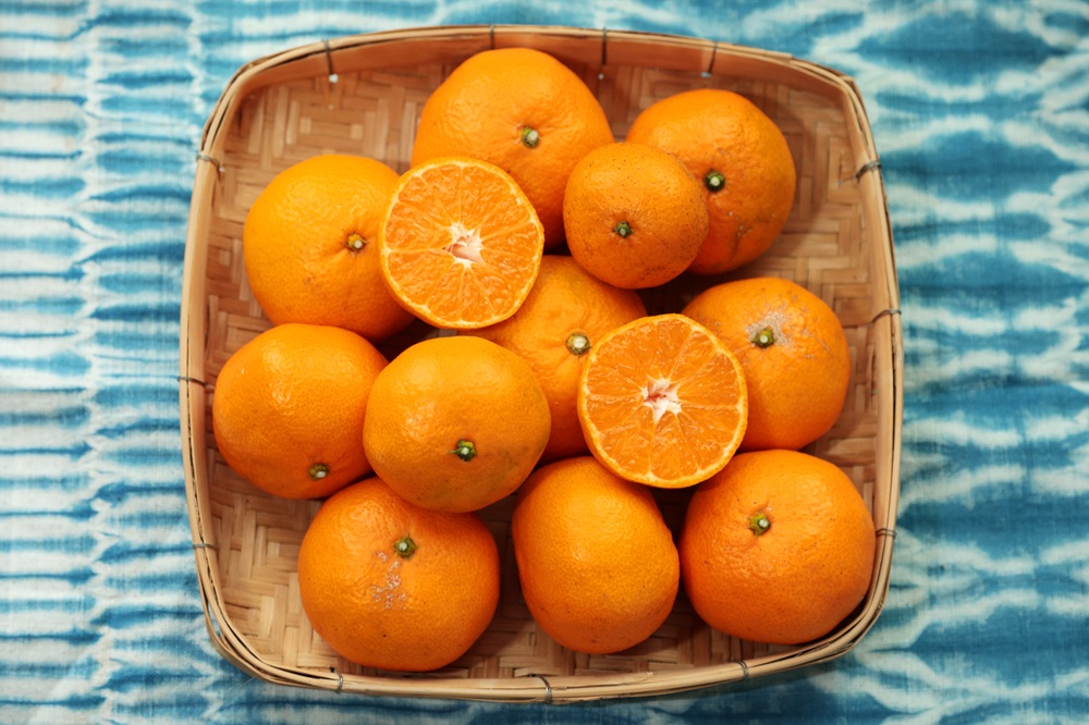 【省農薬栽培、ノーワックス、和歌山県、下津町の中生・晩生みかん　10kg】2箱ご購入の場合は送料が別途1箱分追加されます