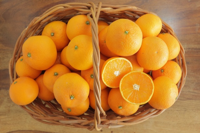 【清美 5kg 無選別】ノーワックス・防腐剤・防カビ剤不使用・残留農薬不検出　1キロ5個～7個