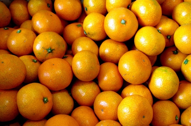 【 有機完熟早生みかん   10kg 無選別】　愛媛県産瀬戸内有機栽培みかん(送料無料商品は可)同梱不可