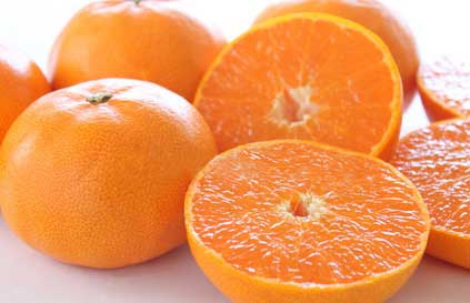 【せとか（有機肥料100％・ノーワックス) 3kg (A品)】