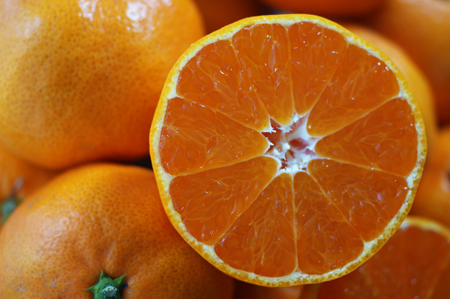 皮が薄く果肉と果汁がタップリの早生みかん