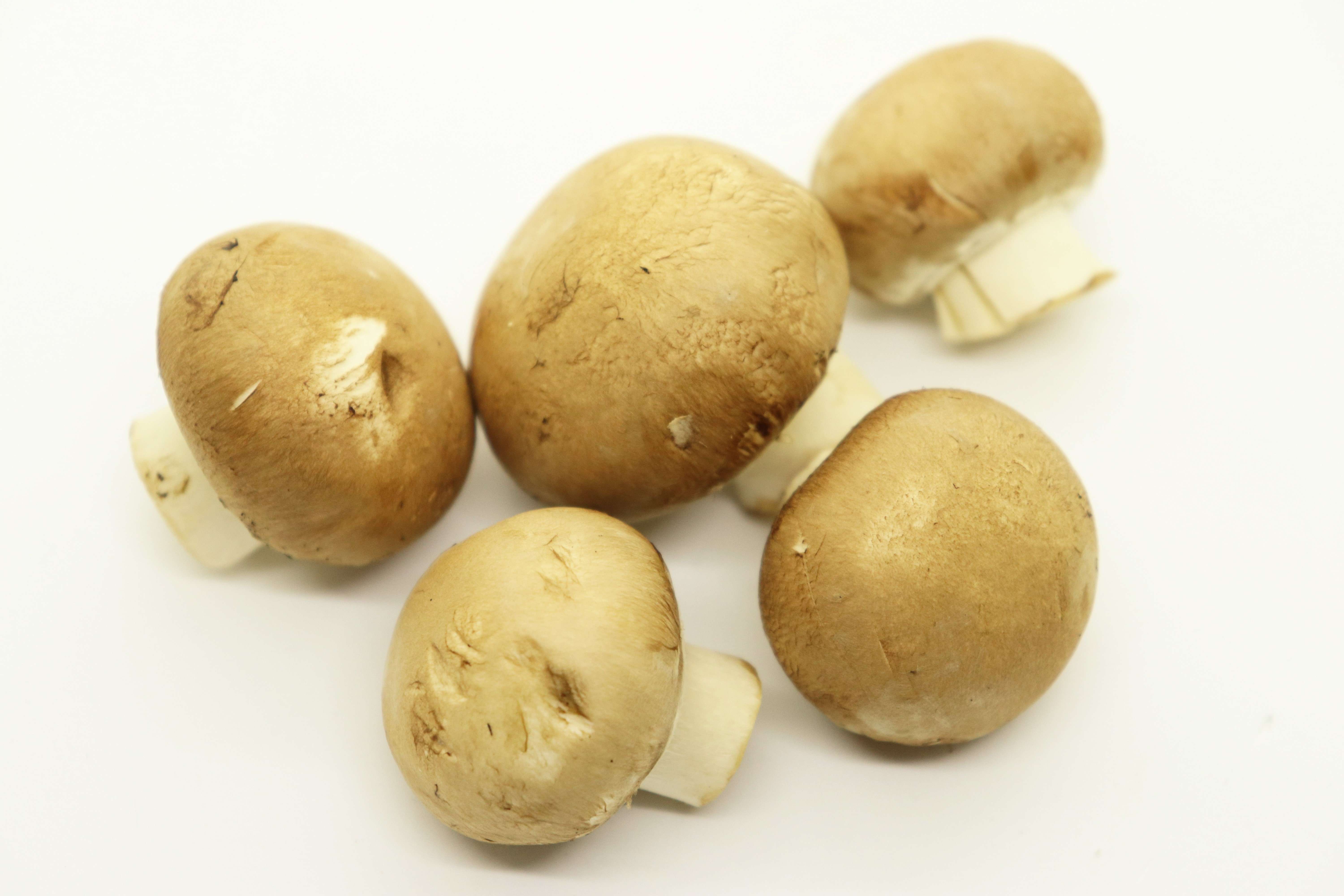 ブラウンマッシュルーム　1パック=100g (千葉、茨城産など）