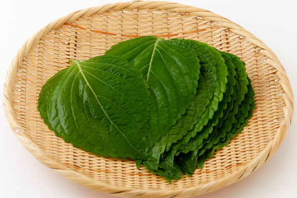 エゴマ　1パック（茨城産など）