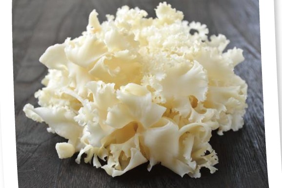 花びら茸 100g 長野産など 千菜一遇市場