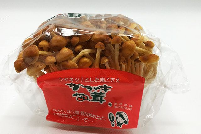 柿ノ木茸（長野産など） 100g