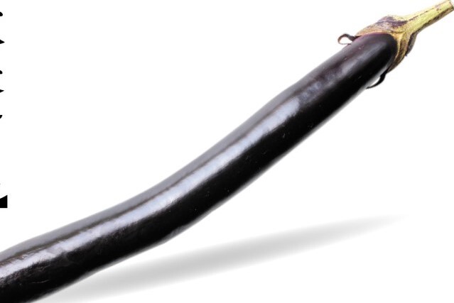 大長ナス 1本 (熊本産など)