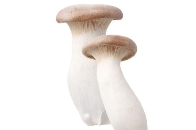 エリンギ 1パック=100ｇ (鳥取産など)