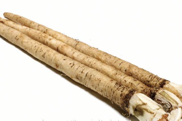 洗いごぼう　1本 (青森産など)