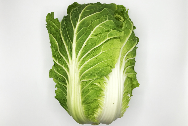 白菜　1個　(茨城産など)