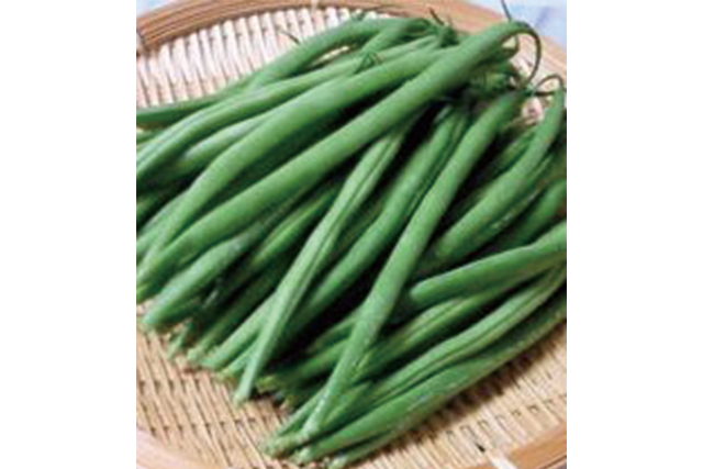 インゲン 1パック=100ｇ (沖縄・長崎など)