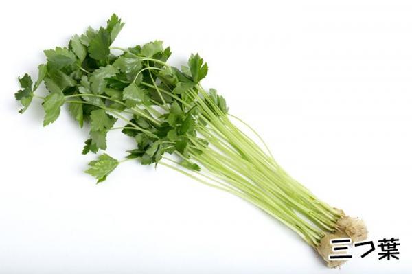 糸三つ葉 1パック（千葉産など）１パック