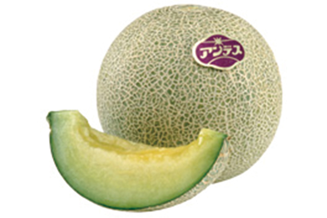 青肉メロン 1個（熊本産など）