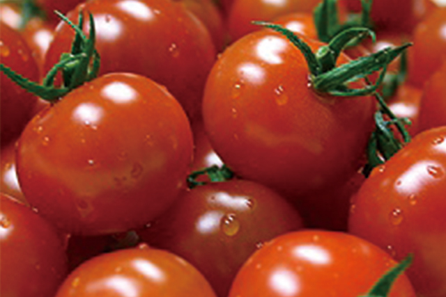 ミニトマト　1パック=200ｇ (青森産など)