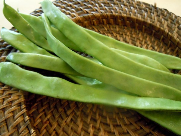 モロッコインゲン100ｇ　（鹿児島産など）