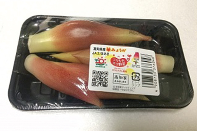 みょうが子 1パック=80ｇ  (高知産など)