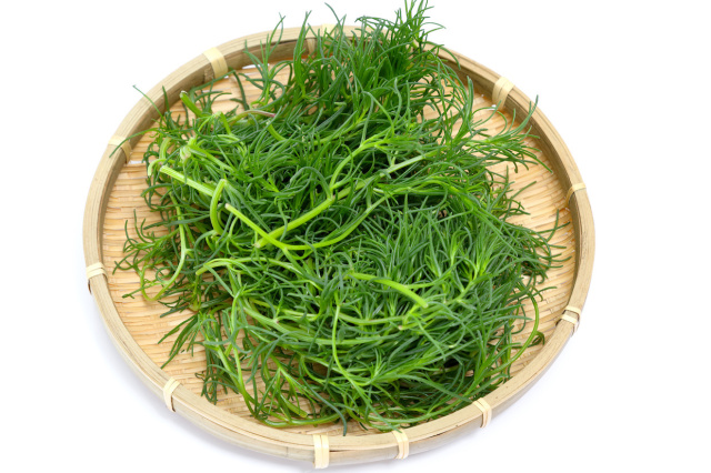 栄養抜群　おかひじき（千葉・山形県産など）　1パック　100g