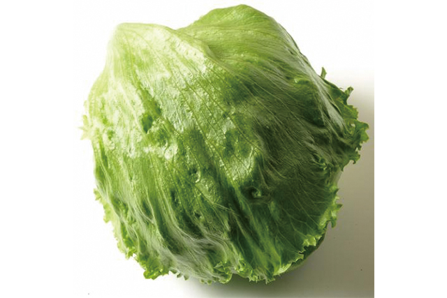 レタス　1個  (長野産など)