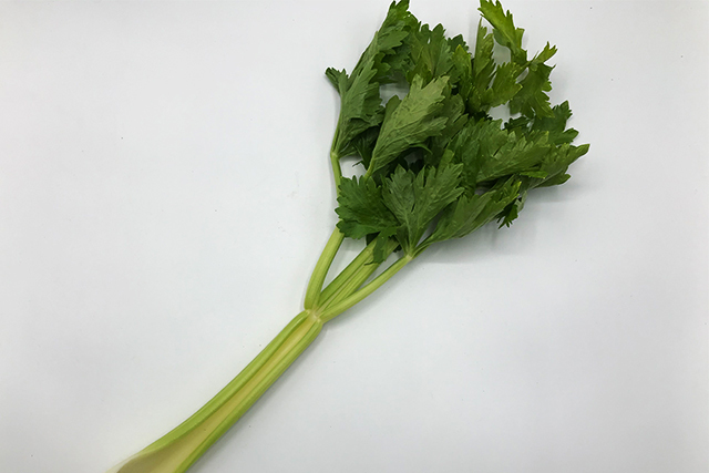 セロリ　１本