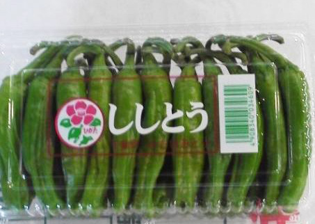 ししとう 1パック=100ｇ　(高知産など)　
