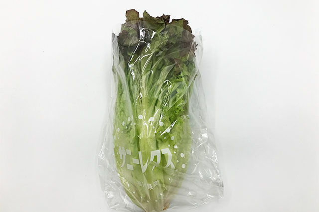 サニーレタス　1個　（長野・茨城産など）　