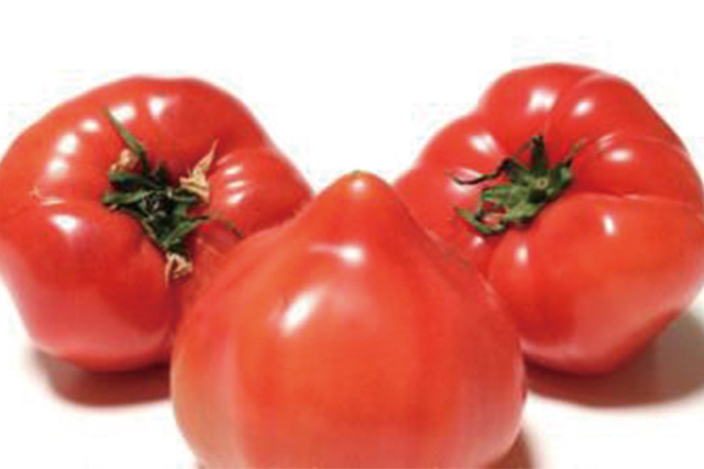 トマト　1パック=3～5個 (栃木産など)