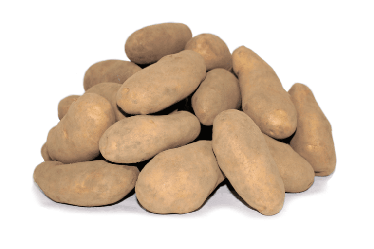 粘質系の代表　メークイーン　 (鹿児島他) 　　1パック500g　