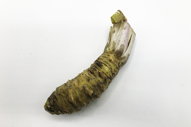 わさび　中サイズ1個 (静岡産など)