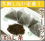 ほうじ茶ティーバッグ