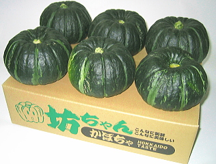 坊ちゃんかぼちゃ(M～2Lサイズ)5～8玉 約3kg 北海道の新鮮野菜をお