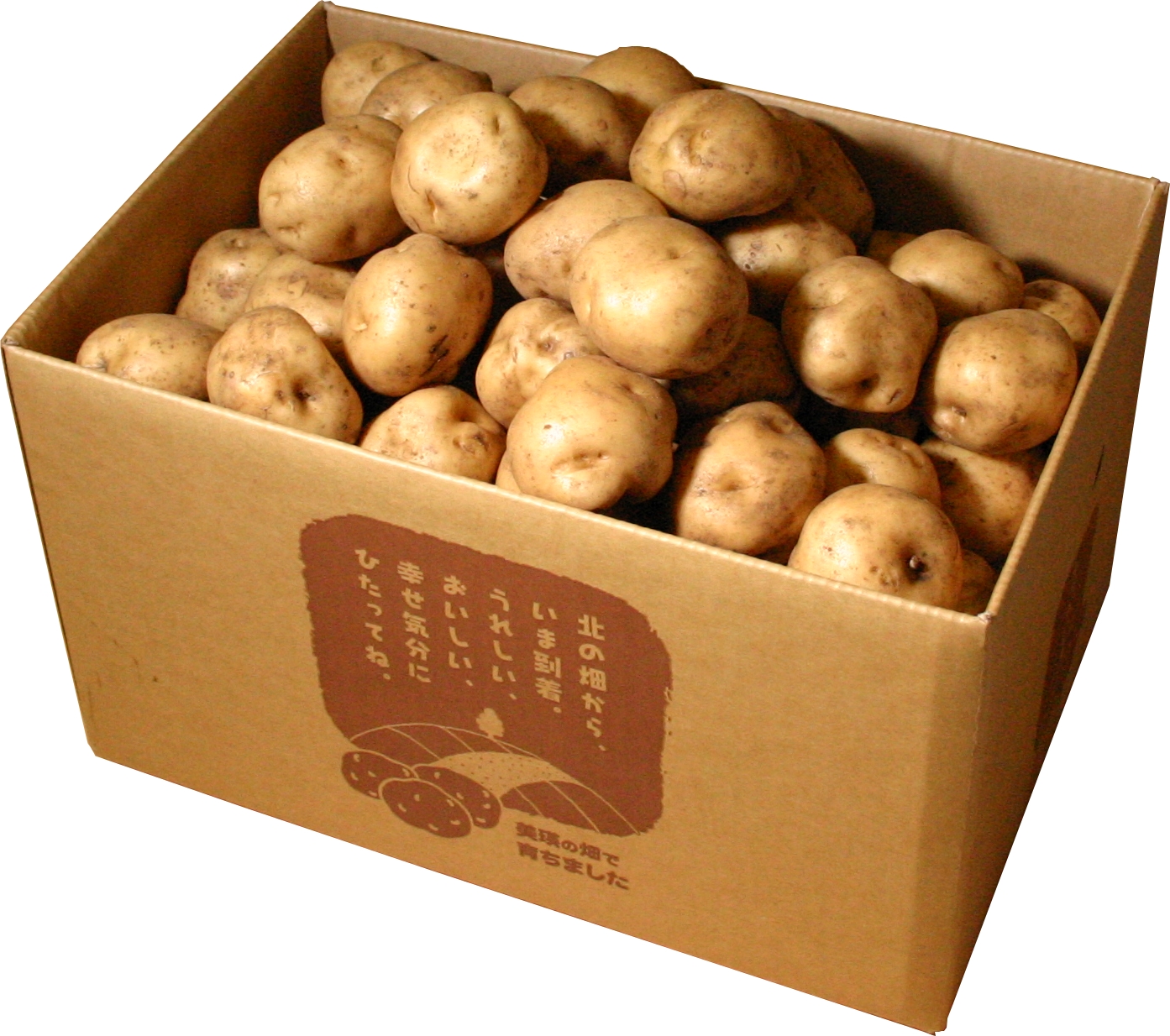 男爵10kg