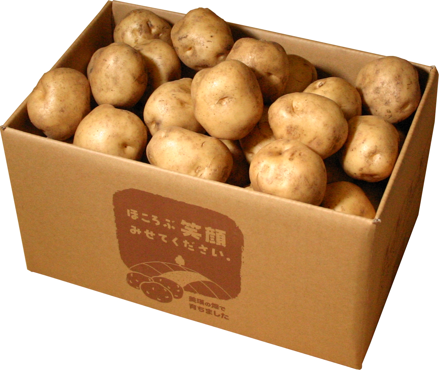 男爵5kg