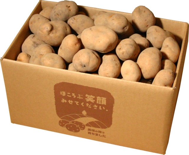インカのめざめ(2S以上)約5kg 北海道の新鮮野菜をお取り寄せ
