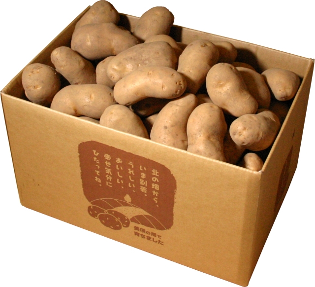 メークイン10kg