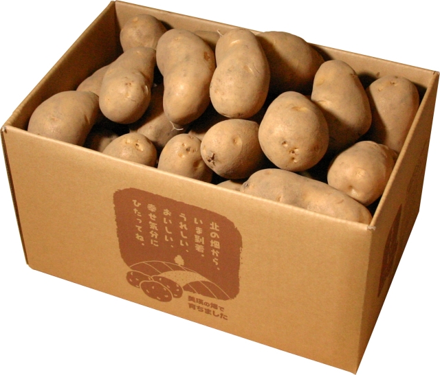 メークイン5kg