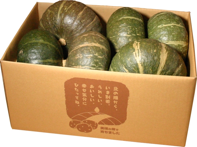栗かぼちゃ10kg