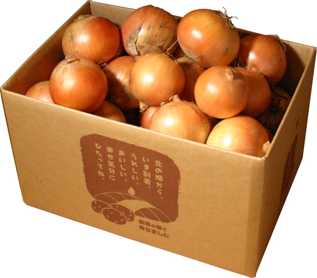 玉ねぎ10kg