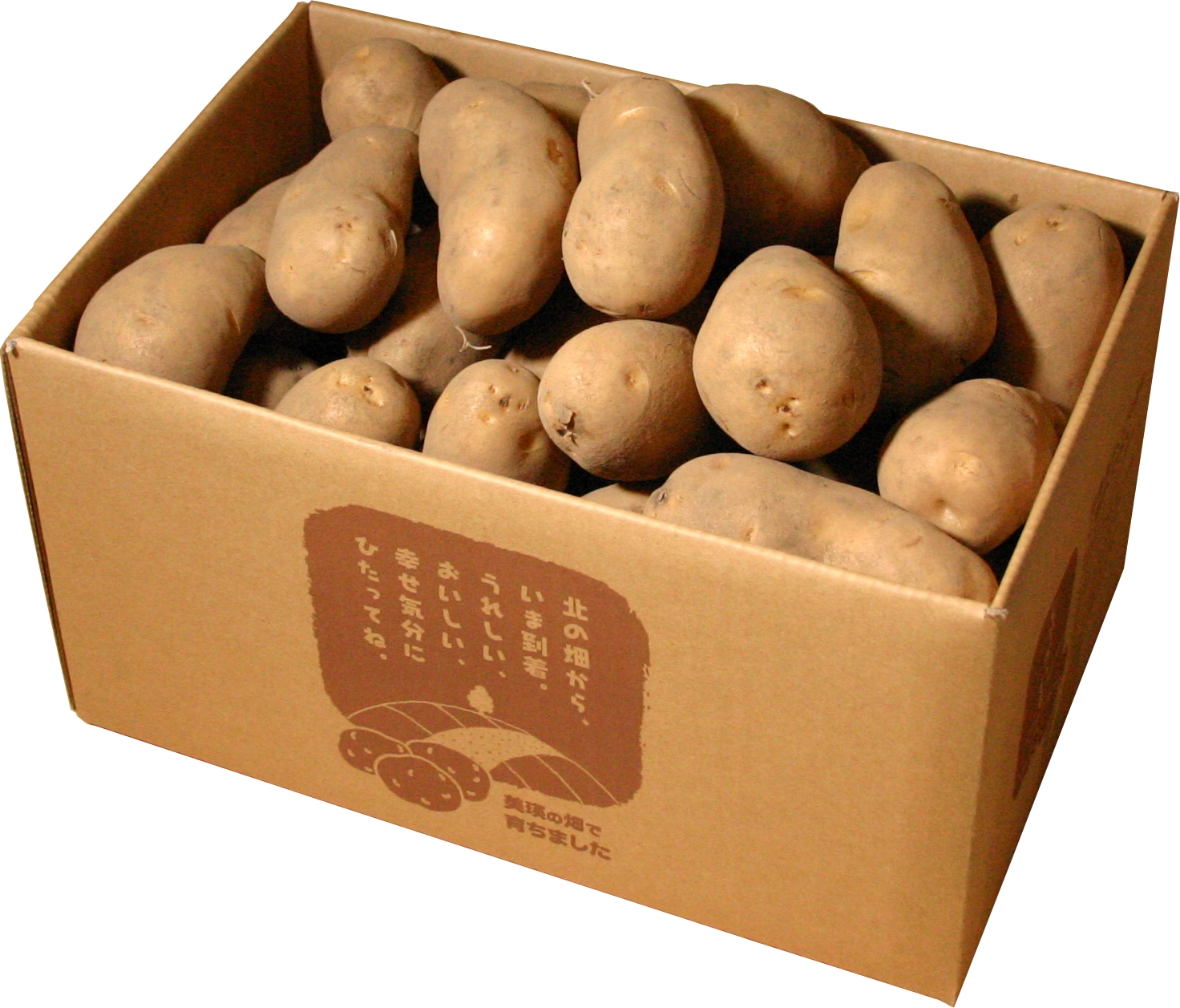 メークイン5kg