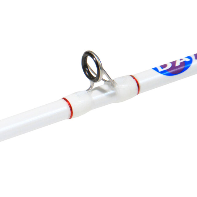 ディープアミティ195M＆スポーツライン CC ベイト BJ100H ライトゲーム