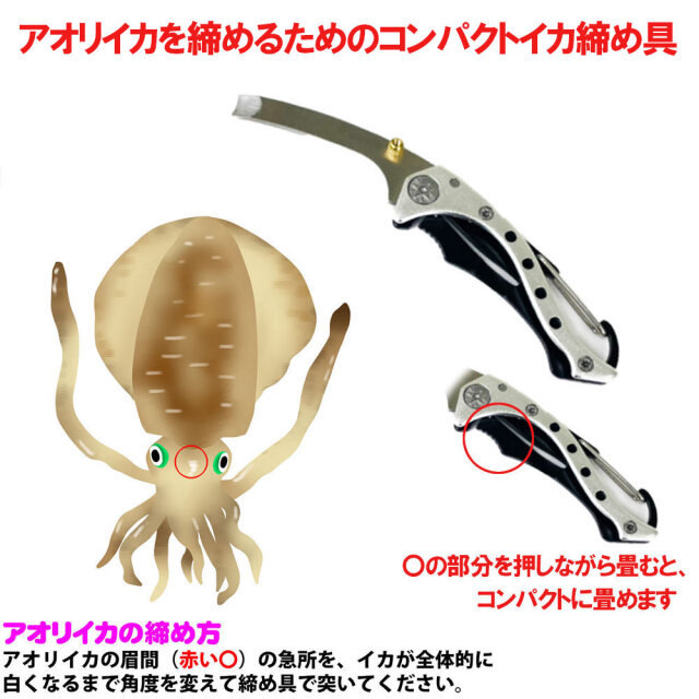 今だけP5倍】エギング入門 プロフィットエギング SV80 エギング フル
