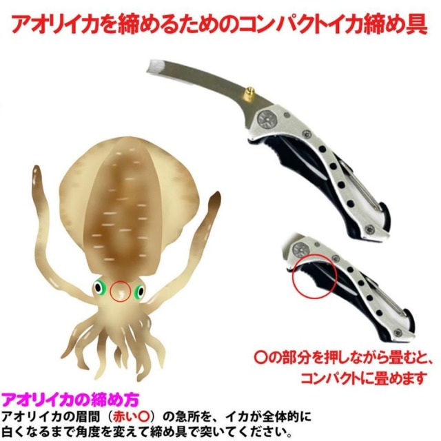 エギング入門に バブルガムエギングV80 フルセット (egingset-111