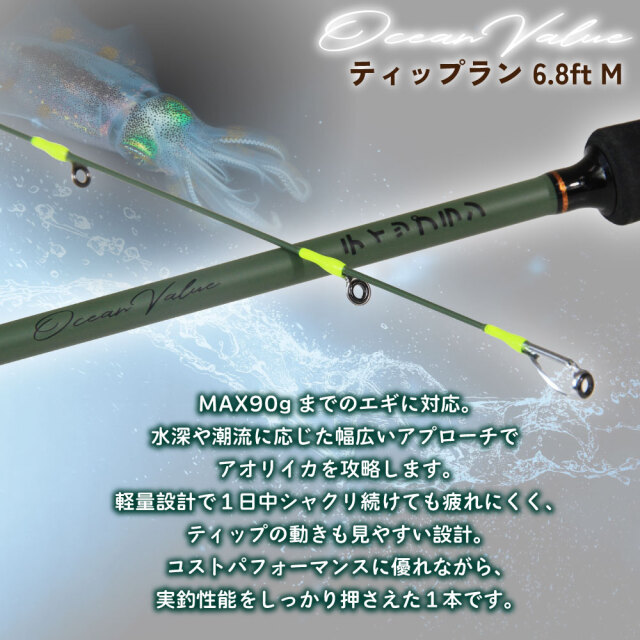 エギング　引退　セット　送料込み エギング釣り引退セット販売