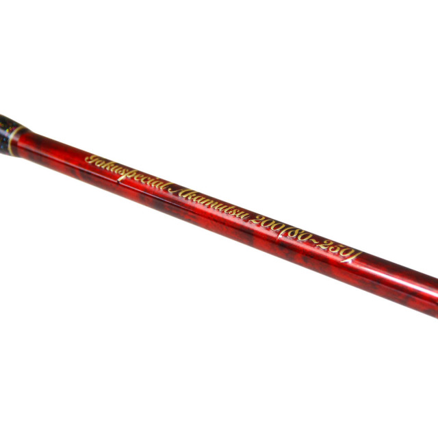 電動アカムツセット ゴクスペシャル アカムツ 200＆ダイワ 25 レオ