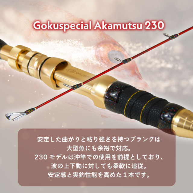電動アカムツセット ゴクスペシャル アカムツ 230＆ダイワ 25 レオ