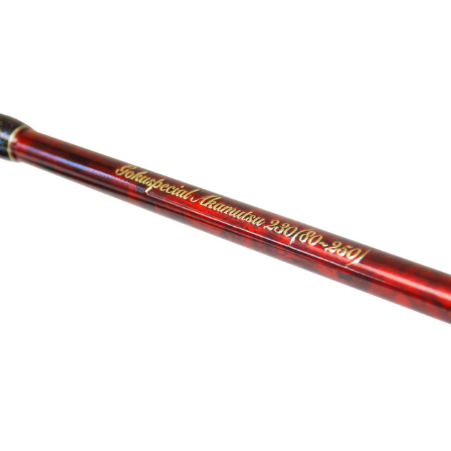 電動アカムツセット ゴクスペシャル アカムツ 230＆ダイワ 25 レオ