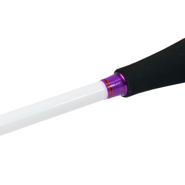 ゴクスぺ ゴクエボリューション ピュアバージョン 船アオリ 150